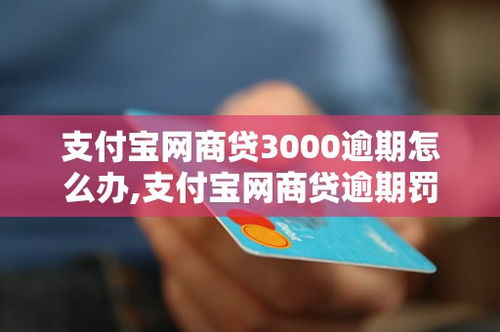 支付宝网商贷逾期一周会怎样？如何补救避免信用受损？