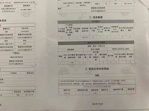 怎么查个人征信记录？征信有污点如何补救？