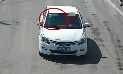 副驾驶不系安全带怎么处罚？被抓到后如何补救？