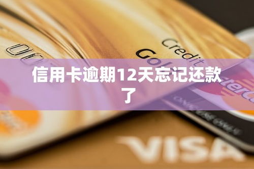 忘了怎么还款？信用卡逾期补救指南来了！