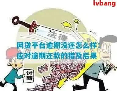 网贷逾期了怎么办？知乎网友最关心的应对策略
