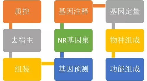 网贷逾期违约流程图怎么做？突然被催收了怎么办？