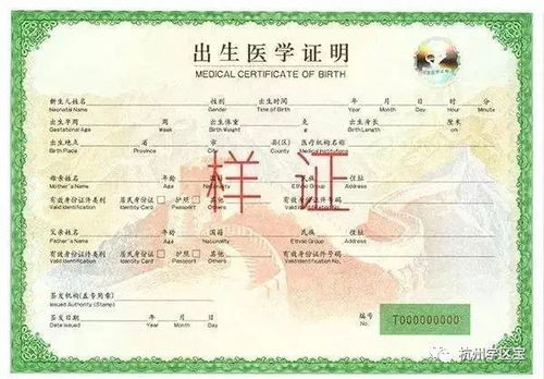 出生证明丢了怎么办？补办流程全攻略！