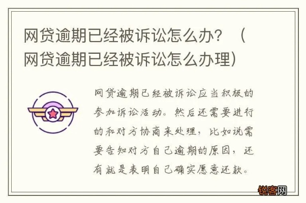 被网贷起诉了？我的经历说不清、写不对，别慌！律师教你怎么办！