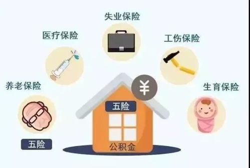 补缴社保还是不交？社保断缴的风险与应对策略