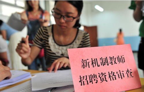 教师编不交社保？别慌，教你应对策略！