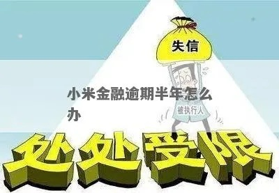 小米金融逾期1年多少？逾期后果与应对全解析