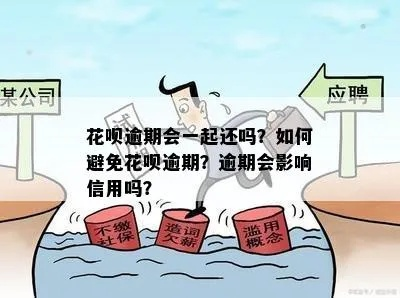花呗5000逾期1年怎么办？教你化解信用危机