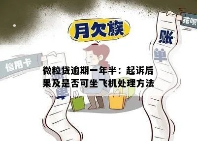 飞机网贷15万四次逾期怎么办？如何避免被起诉？