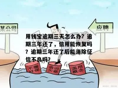 网贷逾期三年怎么办？如何有效恢复个人信用？