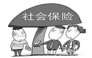 社保断缴了怎么办？别慌，律师教你应对！
