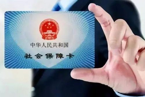 社保不交，钱从何来？后果全解析！