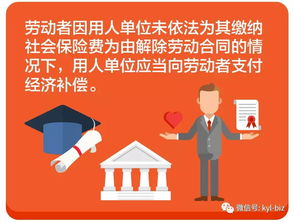 本月不交社保会有什么后果？如何及时补救？
