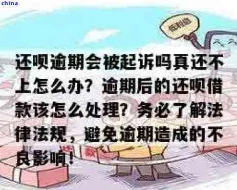 维品会逾期1年怎么办？教你正确处理和避免法律风险