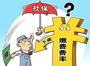 从不交社保的隐患，后果严重，如何应对？