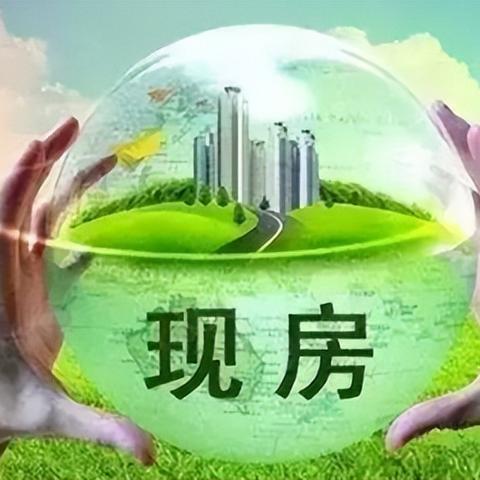 社保先不交？了解风险与应对之道
