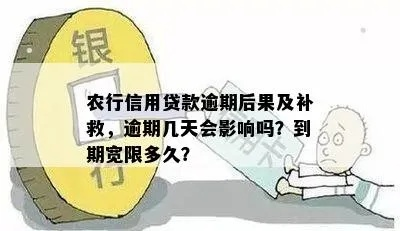 农信担保贷款逾期了，收到短信通知该怎么办？还能补救吗？