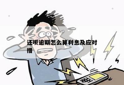 立借逾期1年怎么办？如何应对借贷逾期风险？