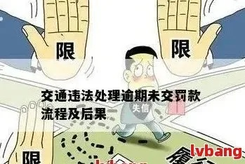 交通逾期1年怎么办？突然被追责了怎么办？