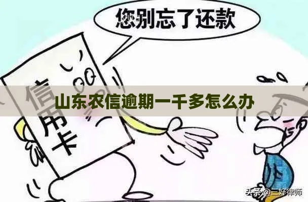 山东农商银行短信贷款逾期了怎么办？收到催收短信别慌，这几点必须知道！