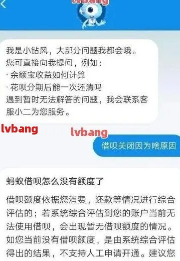 蚂蚁借呗逾期1年怎么办？如何避免信用崩塌？