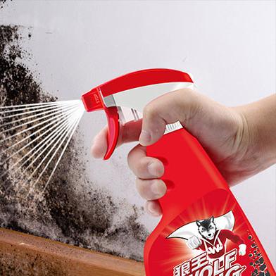 墙壁发霉怎么办？别急，先搞清责任归属再动手！