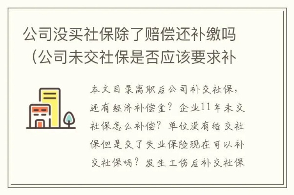 社保不交会赔钱？突然被罚款了怎么办？