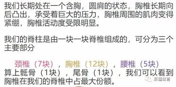 故意伤害罪怎么判？轻伤重伤差在哪？一文说清关键细节