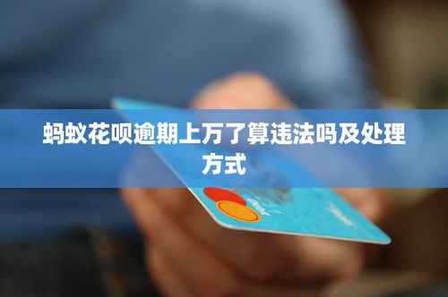 芝麻信用逾期了怎么办？支付渠道与法律风险全解析
