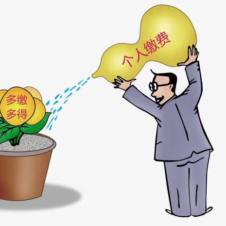 社保不交了，在哪里退钱？突然中断缴费怎么办？