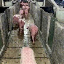 闯祸了！打人致轻伤，赔偿这事儿到底怎么算？赔了钱就没事了吗？