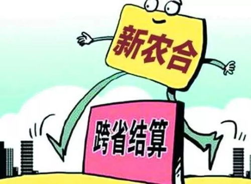 个人只交医保不交社保，可行吗？潜在风险怎么应对？