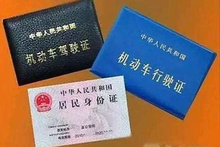 身份证丢了怎么办？别慌，这份挂失全攻略请收好！