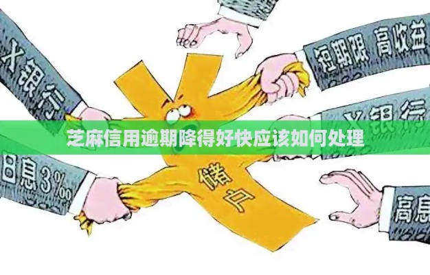 芝麻信用逾期了怎么办？哪里还钱最省心？