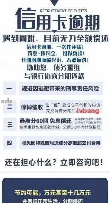 从哪里看逾期记录？逾期了如何补救？
