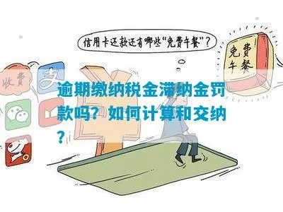 税收滞纳金怎么算？逾期不缴会有多疼？一文说透别再被罚懵了！