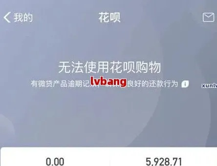 花呗逾期了别慌！哪里可以查询逾期记录？