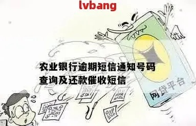 农行贷款利息逾期了，短信催收来了怎么办？还能补救吗？