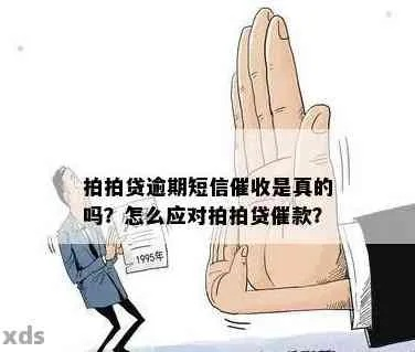 贷款逾期被短信轰炸？别慌！教你三步化解危机，避免房产被拍卖