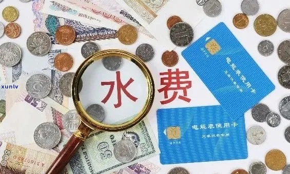 水费逾期了别慌！逾期后如何补缴及避免麻烦？