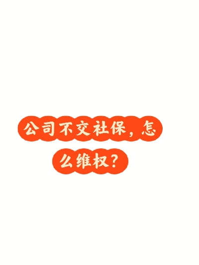 私企不交社保怎么办？如何依法维权保障权益？