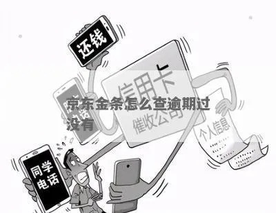 京东金融逾期了怎么办？哪里查看逾期记录？