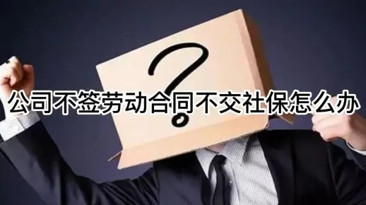 公司不签合同不交社保？别慌，律师教你维权全攻略！