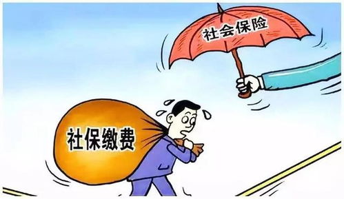 社保不交申请怎么操作？突然被拒绝了怎么办？
