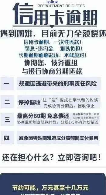 逾期记录从哪里查询？手把手教你应对信用危机