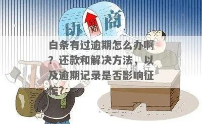 白条逾期后如何撤销投诉？投诉记录错误了怎么办？