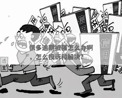 借条逾期了，催收该找谁？突然逾期怎么办？