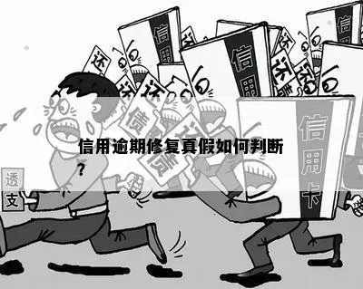逾期了怎么办？信用查询与修复全攻略