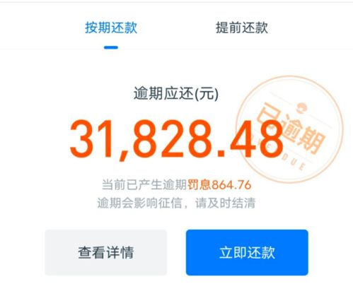 在哪里查看自己逾期？逾期了怎么办？