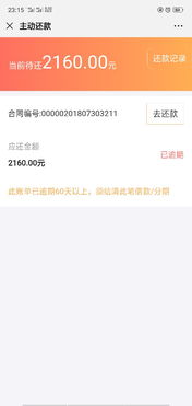 贷款逾期哪里可以查询？逾期后如何补救？